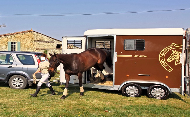 assurance-cheval-devis-et-garantie